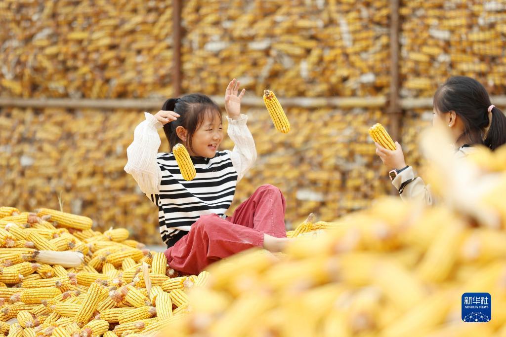 百旺娱乐游戏下载